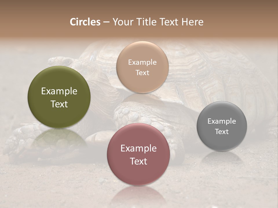 Scale Head Garden PowerPoint Template