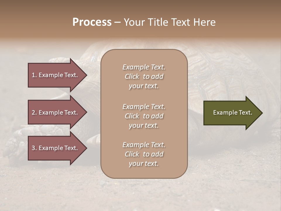 Scale Head Garden PowerPoint Template