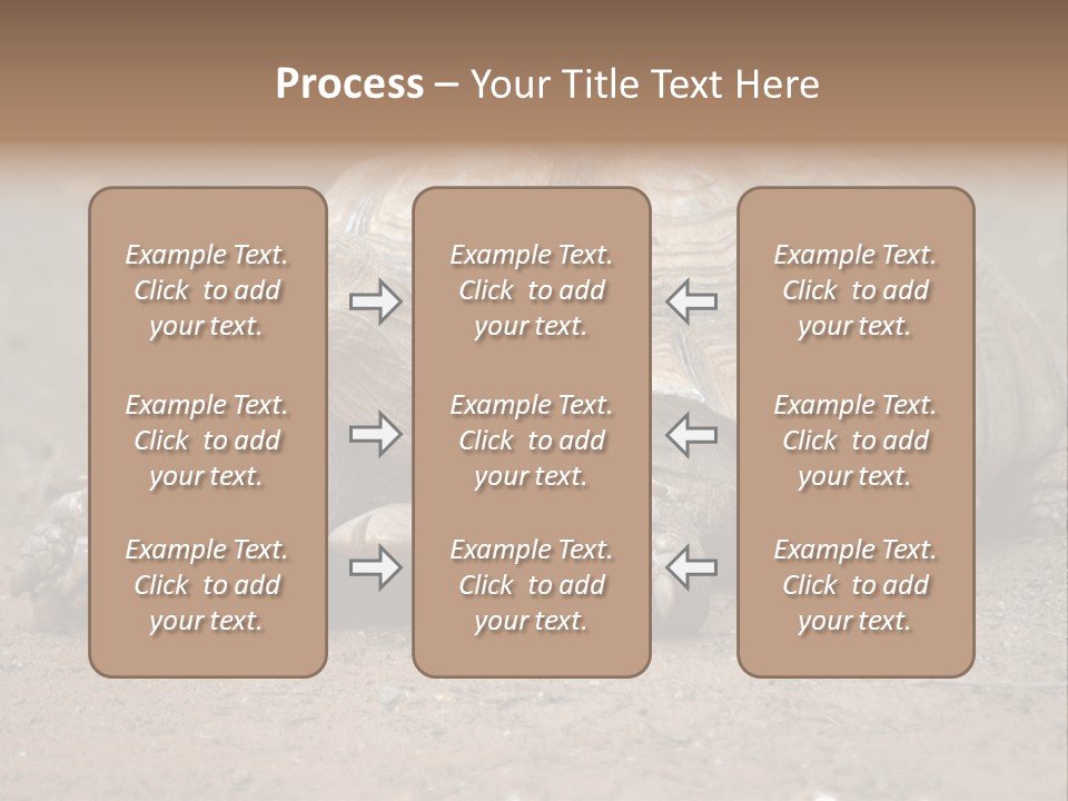 Scale Head Garden PowerPoint Template