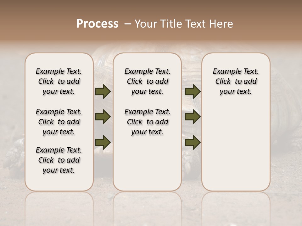 Scale Head Garden PowerPoint Template