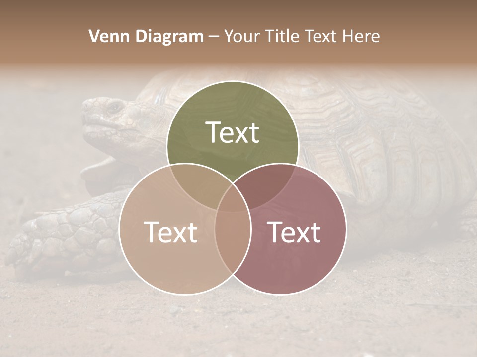 Scale Head Garden PowerPoint Template