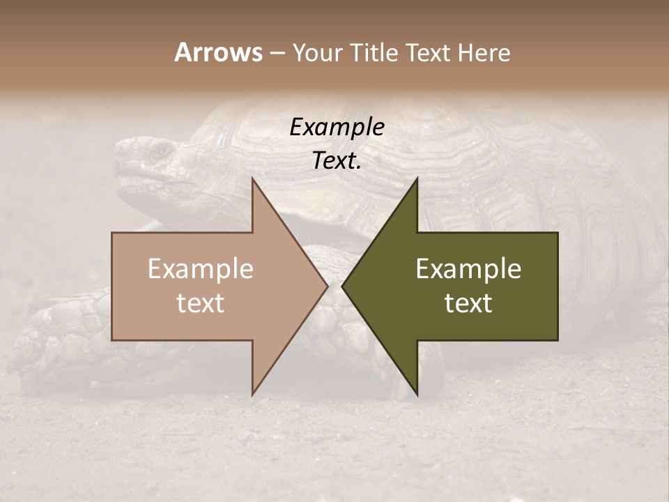 Scale Head Garden PowerPoint Template