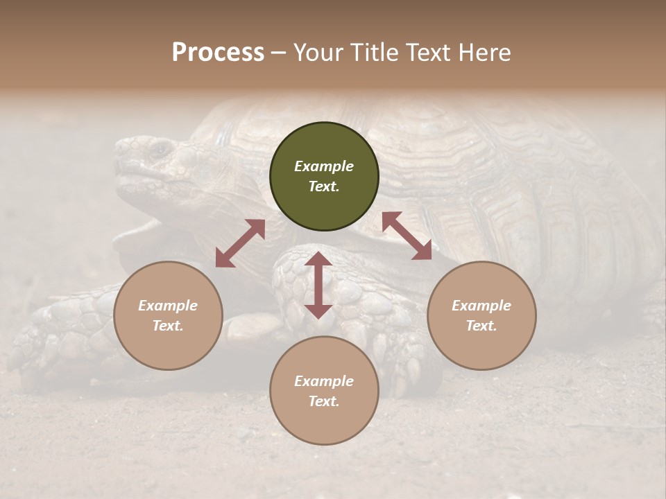 Scale Head Garden PowerPoint Template