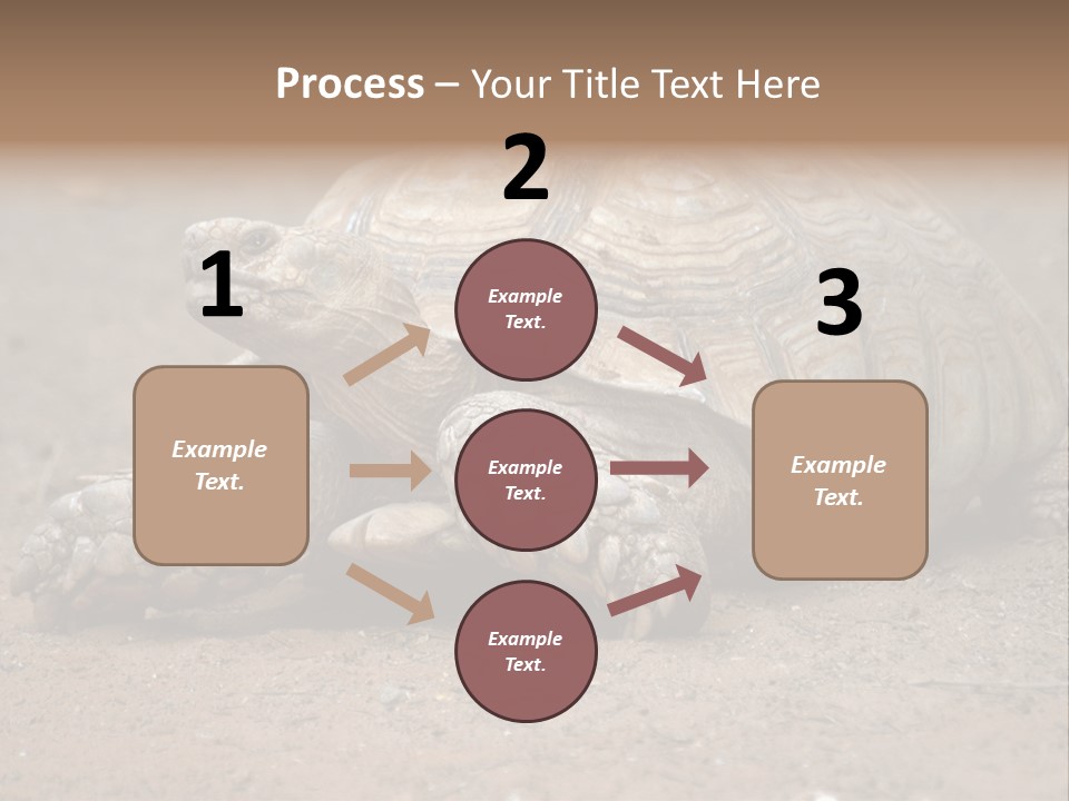 Scale Head Garden PowerPoint Template