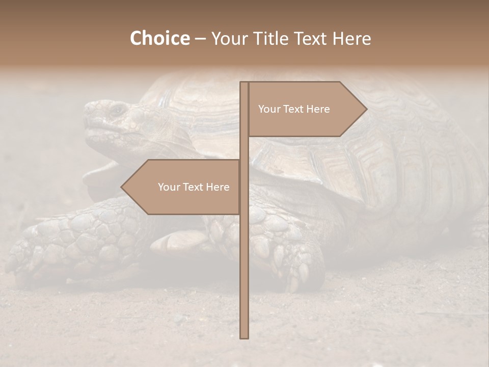 Scale Head Garden PowerPoint Template