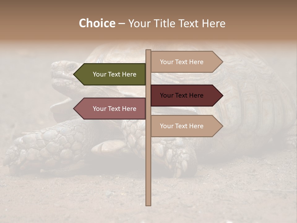 Scale Head Garden PowerPoint Template