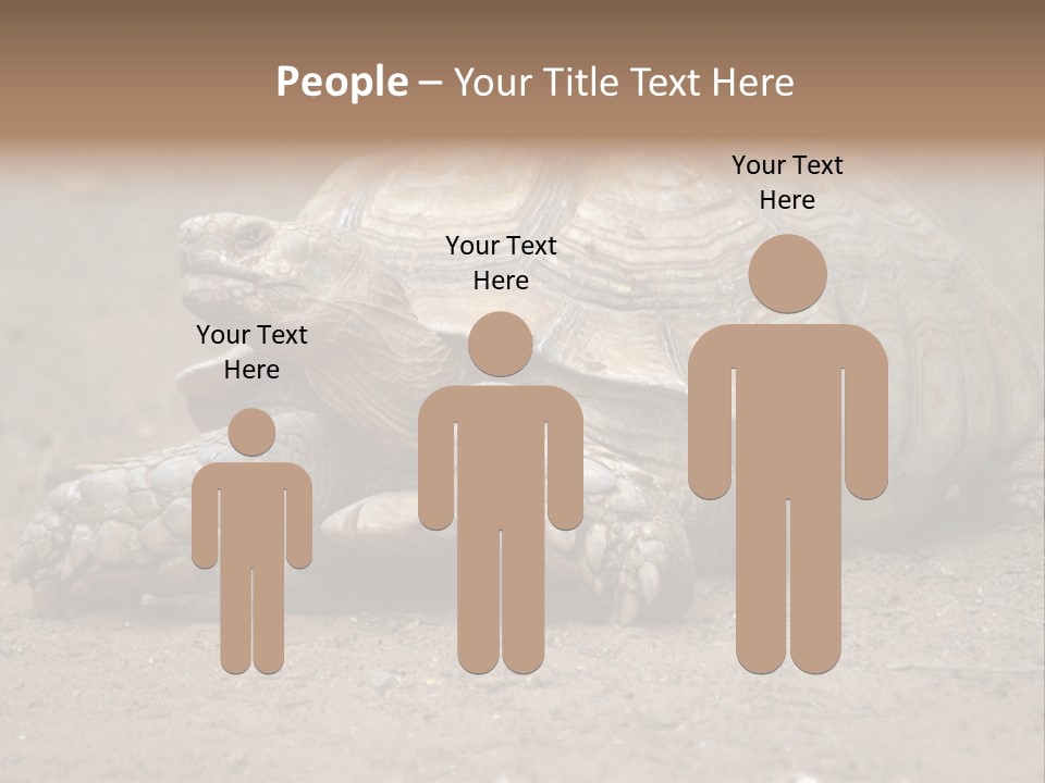 Scale Head Garden PowerPoint Template