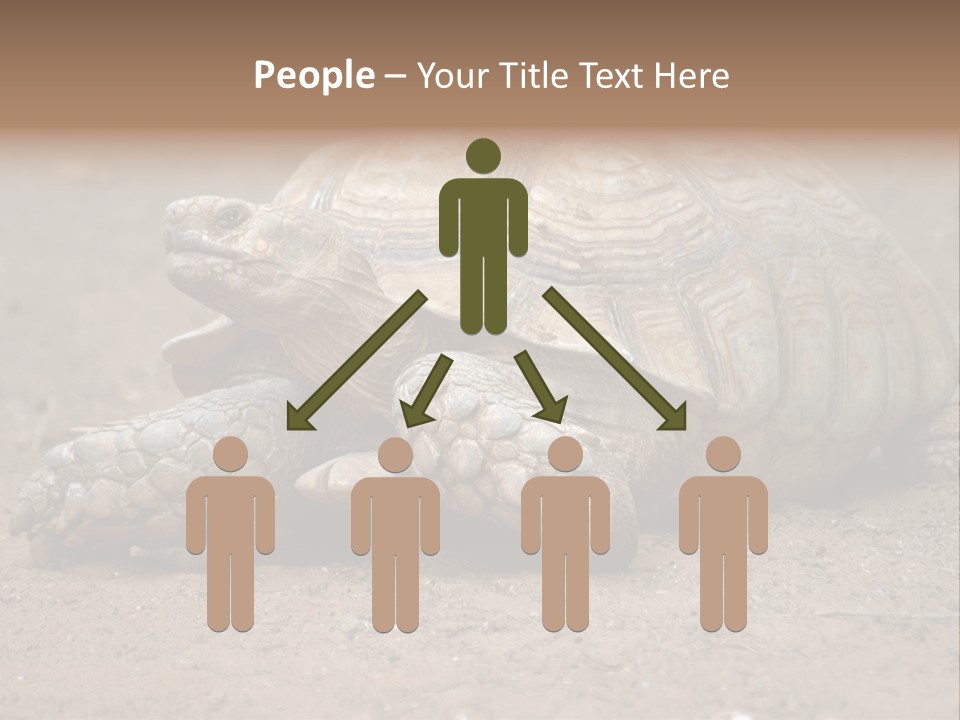 Scale Head Garden PowerPoint Template