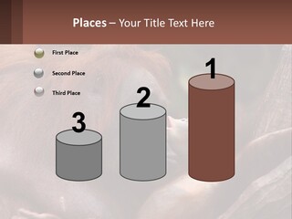 Orang Brown Motherhood PowerPoint Template