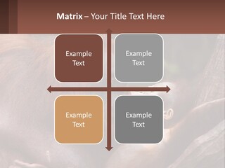 Orang Brown Motherhood PowerPoint Template