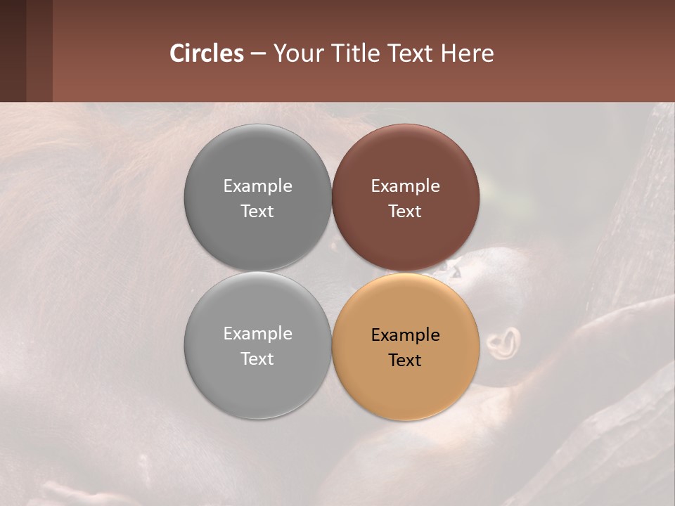 Orang Brown Motherhood PowerPoint Template