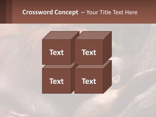 Orang Brown Motherhood PowerPoint Template