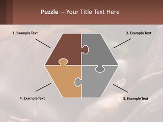 Orang Brown Motherhood PowerPoint Template