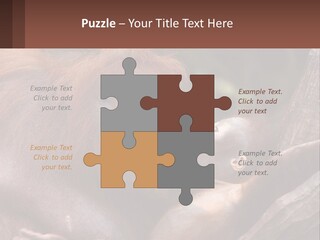 Orang Brown Motherhood PowerPoint Template