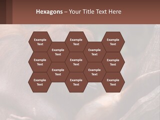 Orang Brown Motherhood PowerPoint Template