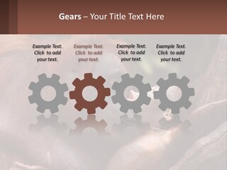 Orang Brown Motherhood PowerPoint Template