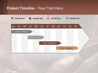 Orang Brown Motherhood PowerPoint Template