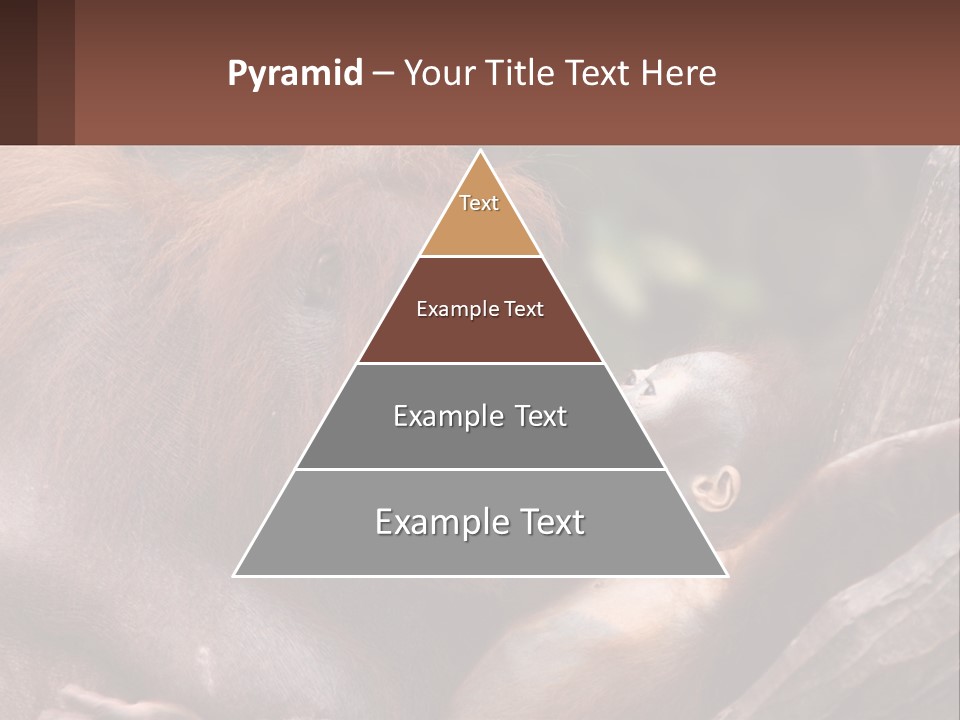 Orang Brown Motherhood PowerPoint Template