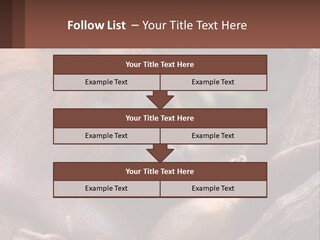 Orang Brown Motherhood PowerPoint Template