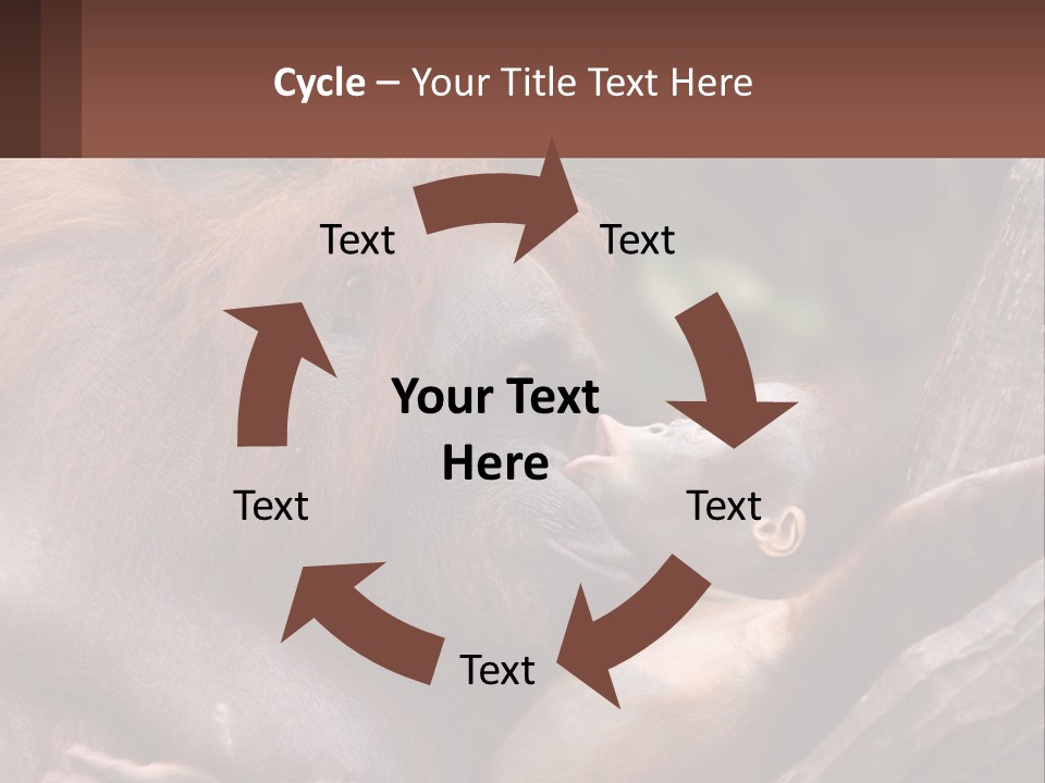 Orang Brown Motherhood PowerPoint Template