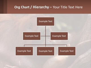 Orang Brown Motherhood PowerPoint Template