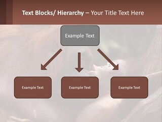 Orang Brown Motherhood PowerPoint Template