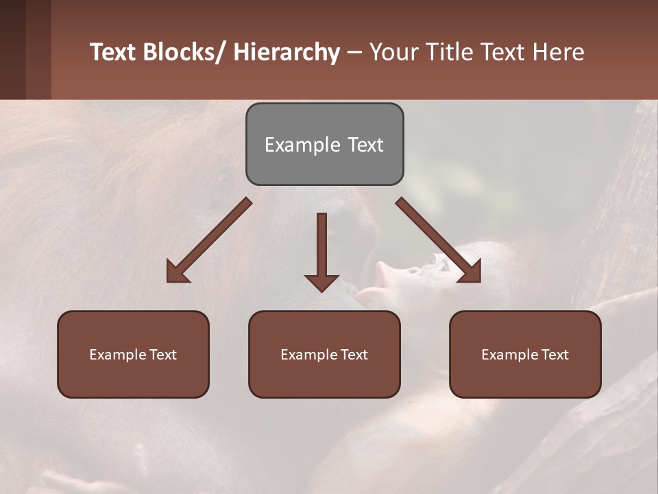 Orang Brown Motherhood PowerPoint Template
