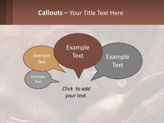 Orang Brown Motherhood PowerPoint Template