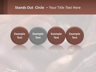 Orang Brown Motherhood PowerPoint Template
