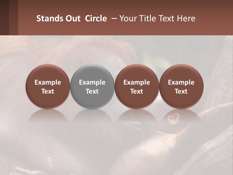 Orang Brown Motherhood PowerPoint Template