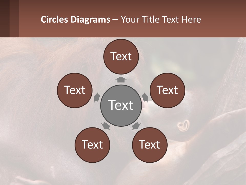 Orang Brown Motherhood PowerPoint Template