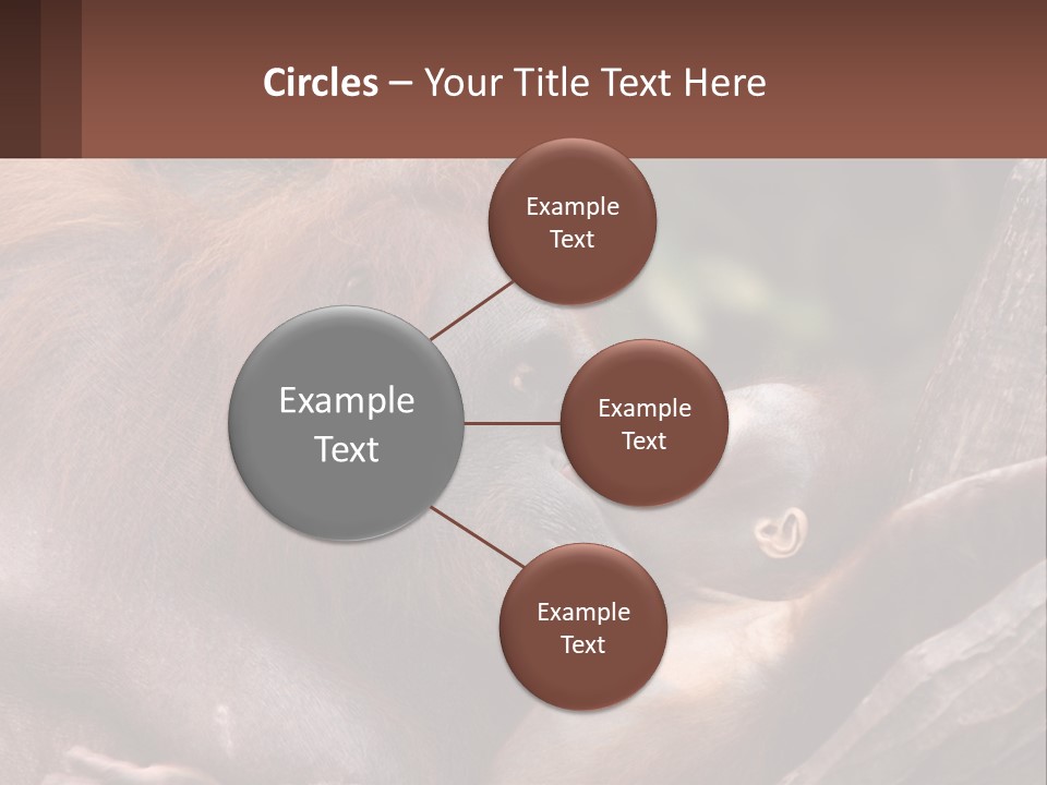 Orang Brown Motherhood PowerPoint Template