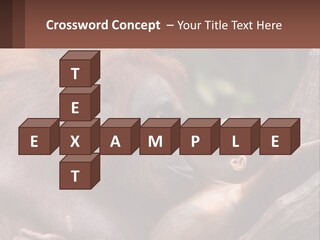 Orang Brown Motherhood PowerPoint Template
