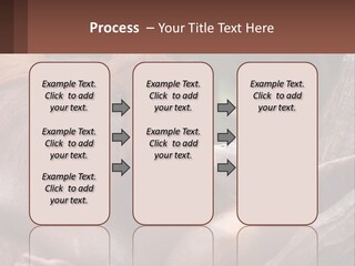 Orang Brown Motherhood PowerPoint Template