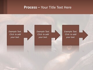 Orang Brown Motherhood PowerPoint Template