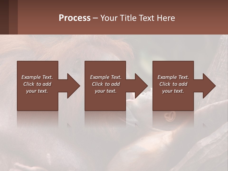 Orang Brown Motherhood PowerPoint Template