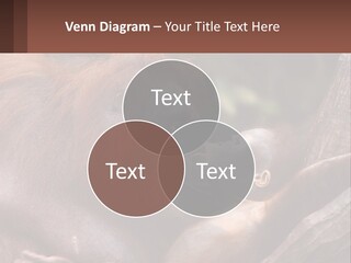 Orang Brown Motherhood PowerPoint Template