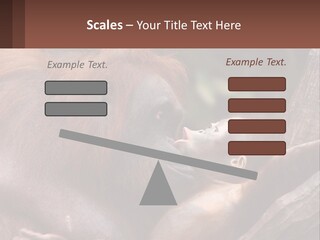 Orang Brown Motherhood PowerPoint Template