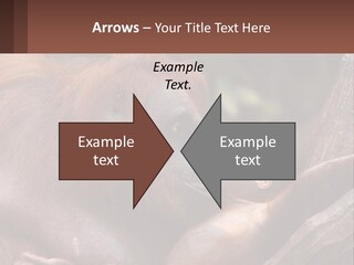 Orang Brown Motherhood PowerPoint Template