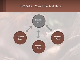 Orang Brown Motherhood PowerPoint Template