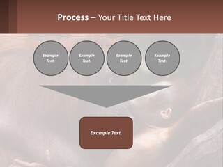 Orang Brown Motherhood PowerPoint Template