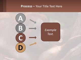 Orang Brown Motherhood PowerPoint Template