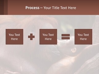 Orang Brown Motherhood PowerPoint Template