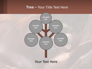 Orang Brown Motherhood PowerPoint Template