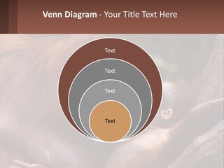 Orang Brown Motherhood PowerPoint Template