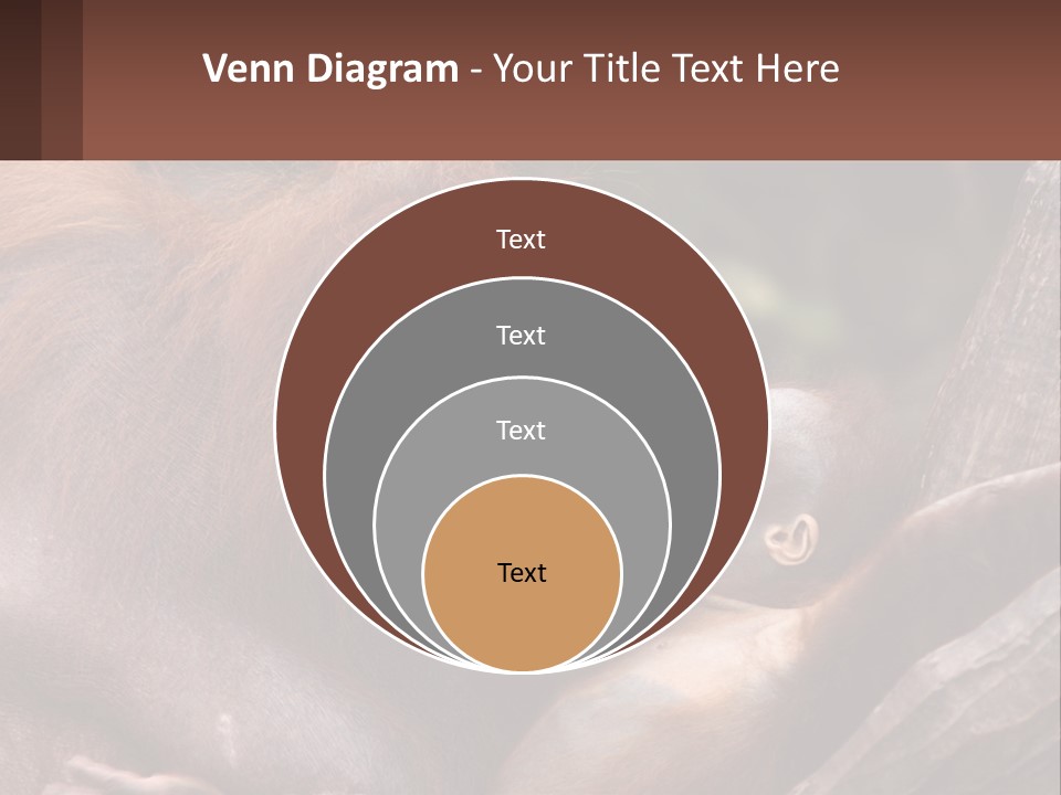 Orang Brown Motherhood PowerPoint Template