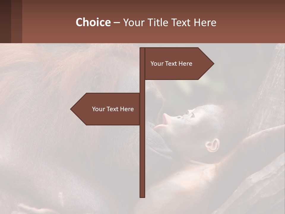 Orang Brown Motherhood PowerPoint Template