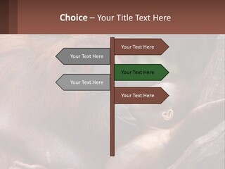 Orang Brown Motherhood PowerPoint Template