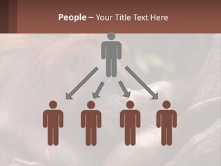 Orang Brown Motherhood PowerPoint Template
