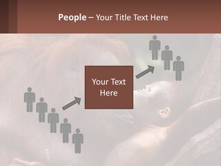 Orang Brown Motherhood PowerPoint Template